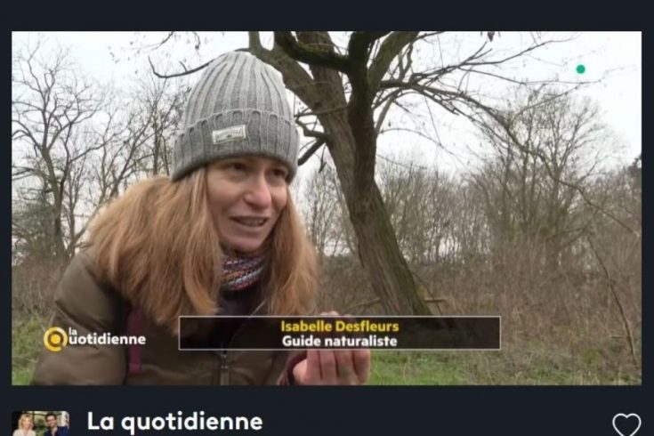 Isabelle Desfleurs_Emission TV Herboriste_France 5_La Quotidienne
